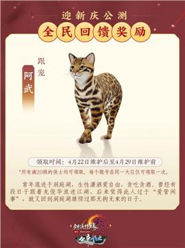 天龙八部光通私服